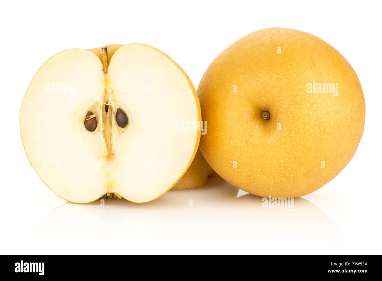 Asian business directory directory franchising opportunity regional Asian golden pears