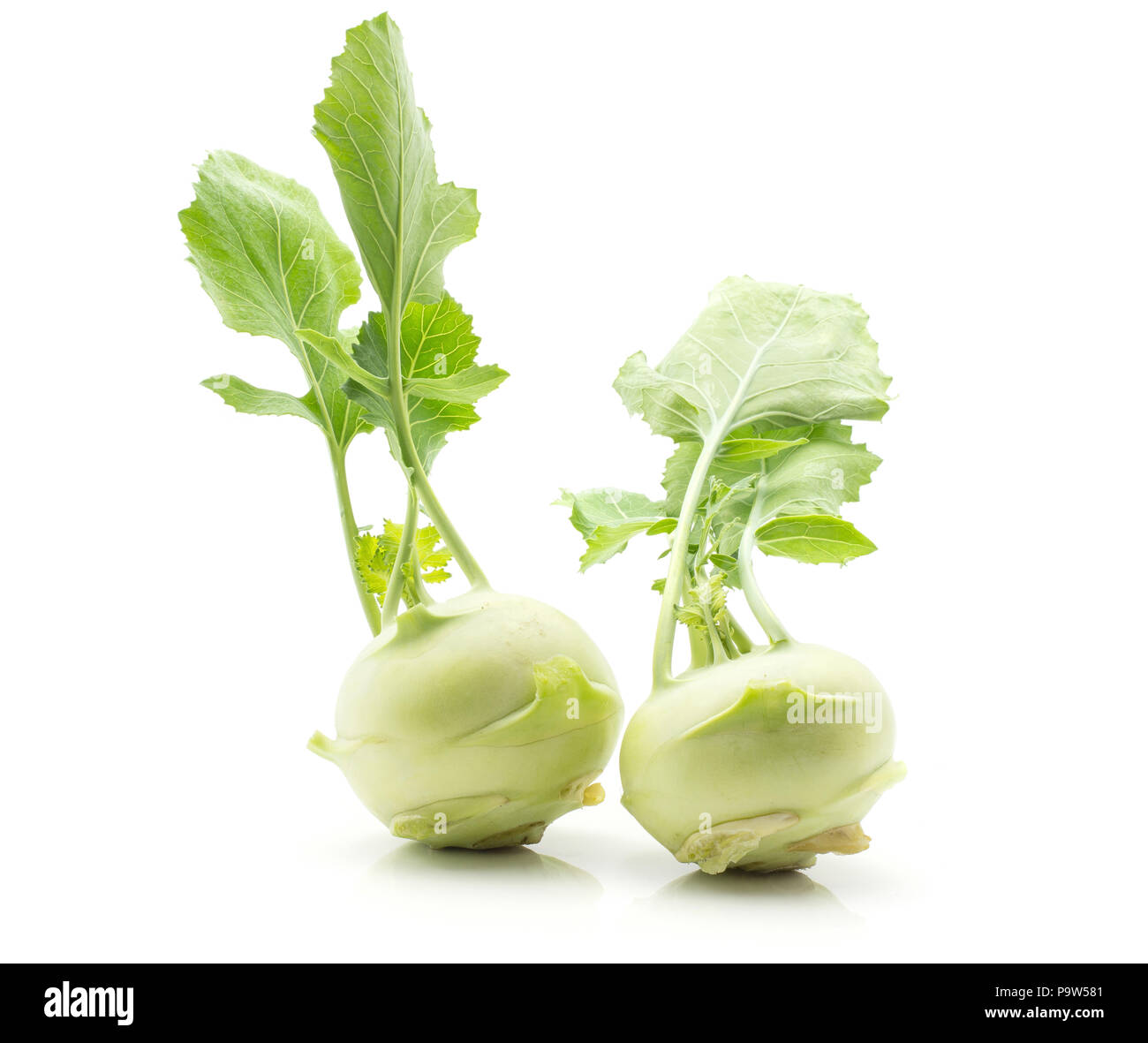 Kohlrabi (German turnip or turnip cabbage) with fresh leaves isolated