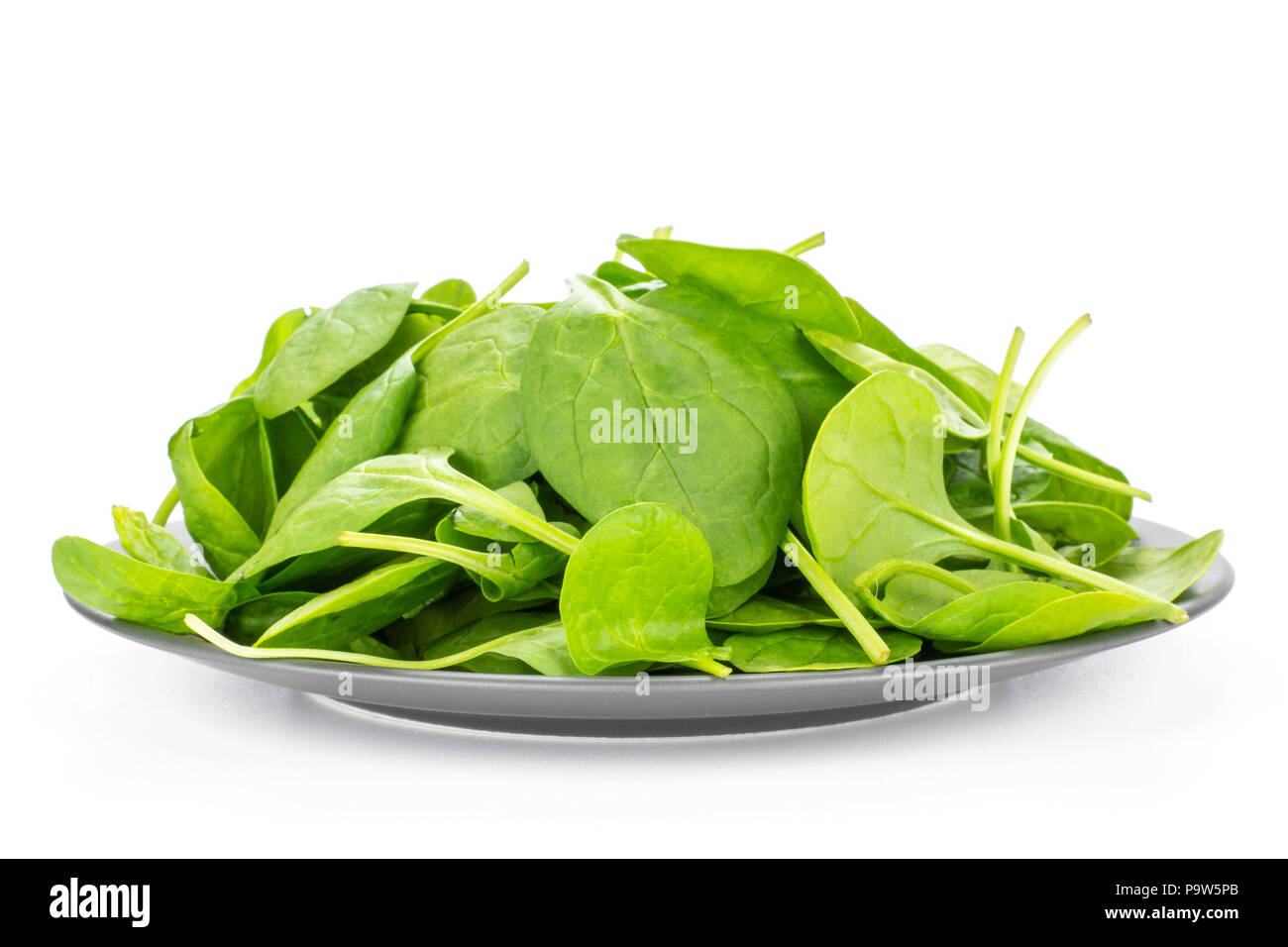 Fresh baby spinach leaves stack on a grey ceramic plate isolated on white background Stock Photo