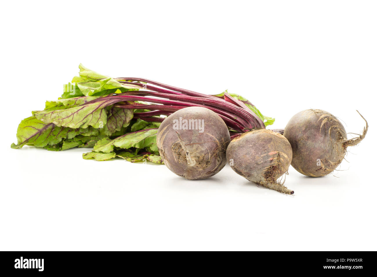 Red beet with greens isolated on white background three bulbs root with ...