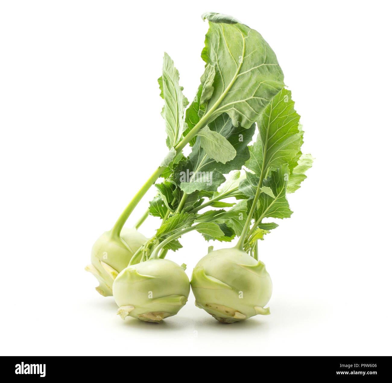 Kohlrabi (German turnip or turnip cabbage) three bulbs with fresh long