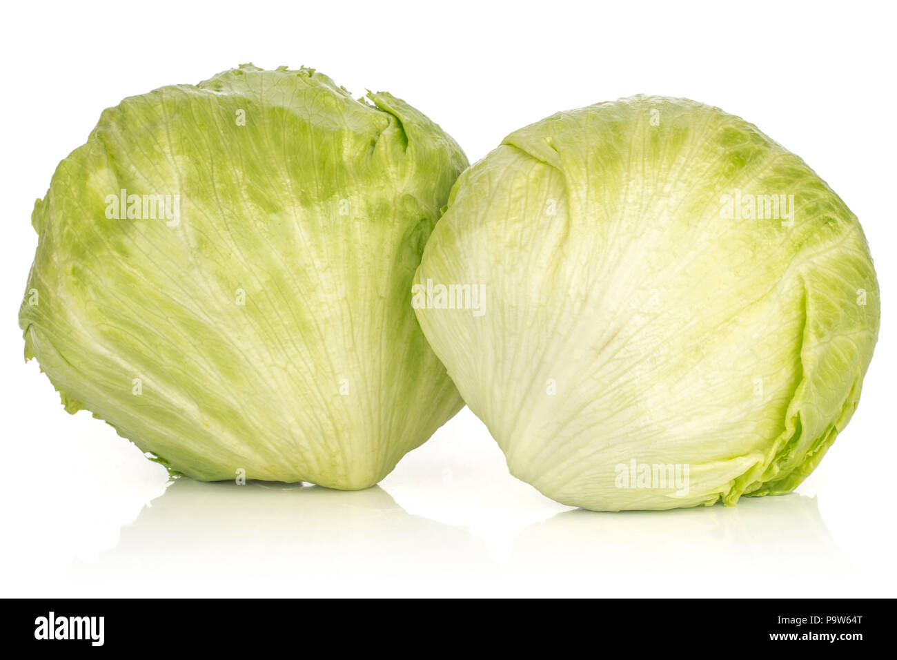 Iceberg lettuce two fresh green cabbage heads isolated on white