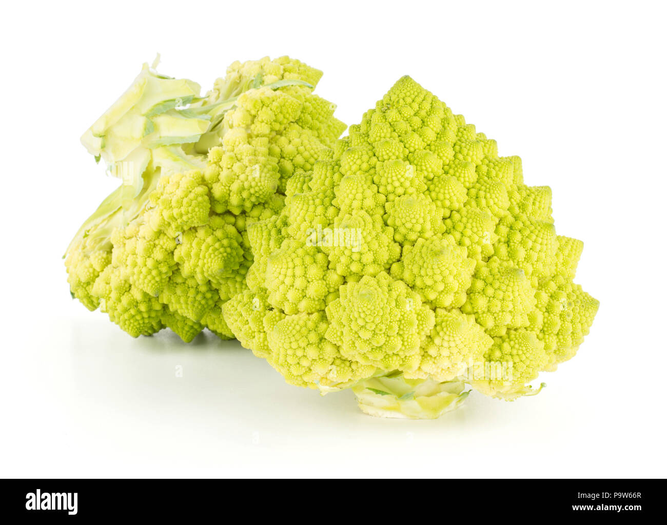 Romanesco cauliflower or broccoli two green heads isolated on white