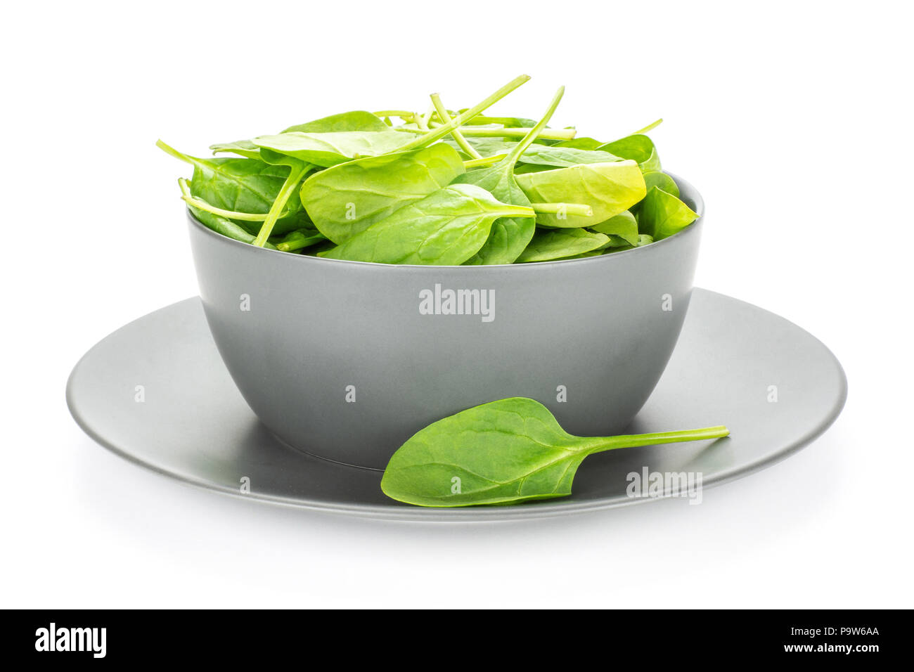 Fresh baby spinach leaves in a grey ceramic bowl with a plate isolated on white background Stock Photo