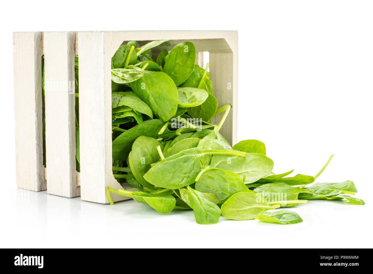 Fresh baby spinach leaves out a wooden box isolated on white background Stock Photo