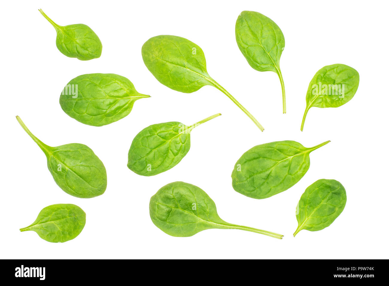 Fresh baby spinach leaves top view isolated on white background Stock Photo