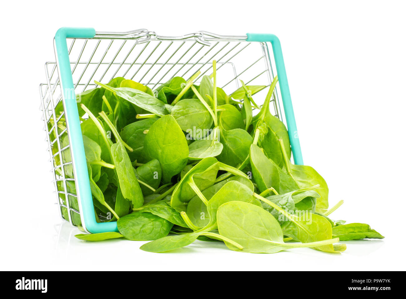 Fresh baby spinach leaves out a shopping basket isolated on white background Stock Photo