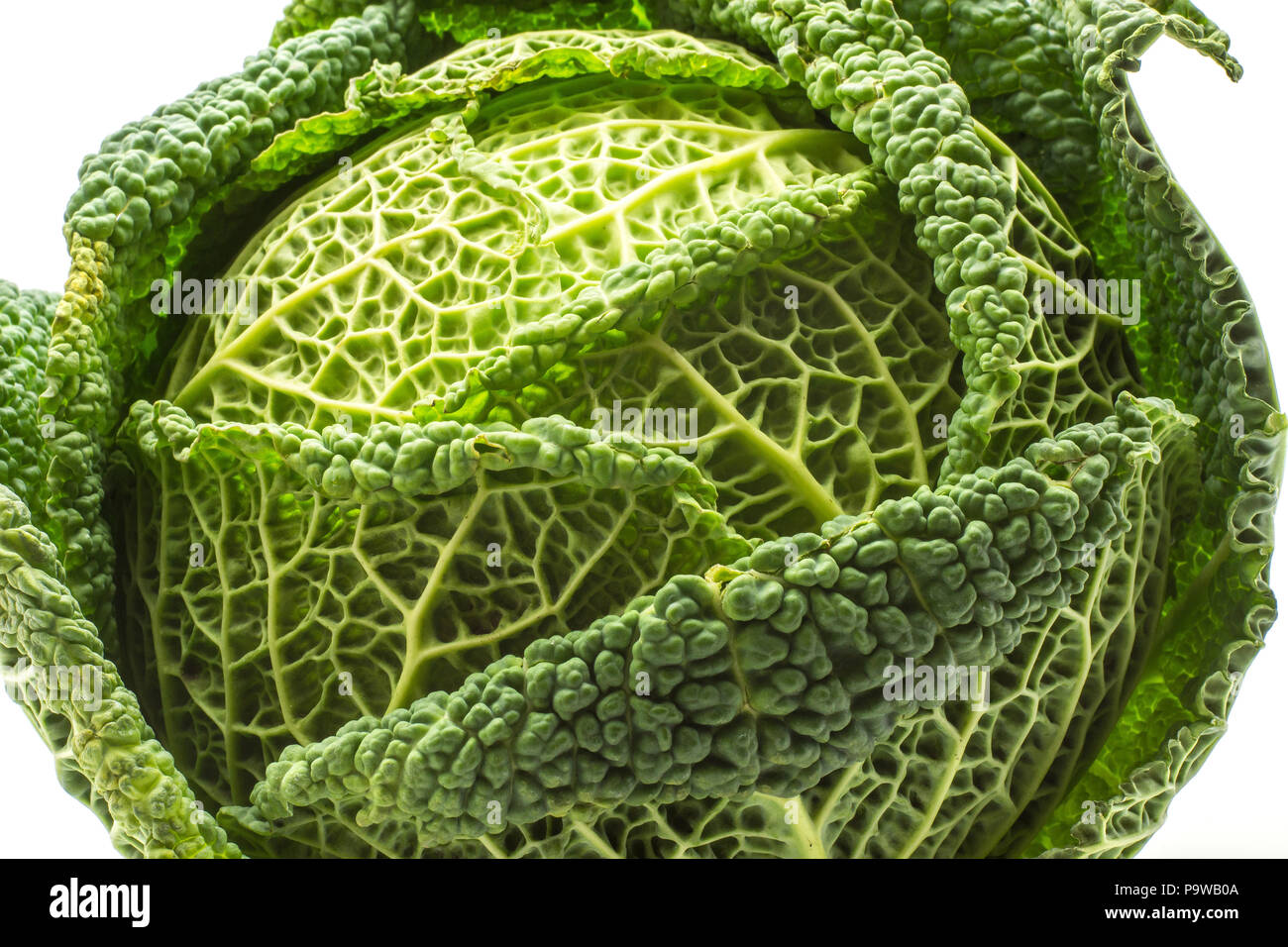 Savoy cabbage close-up isolated on white background one fresh green ...