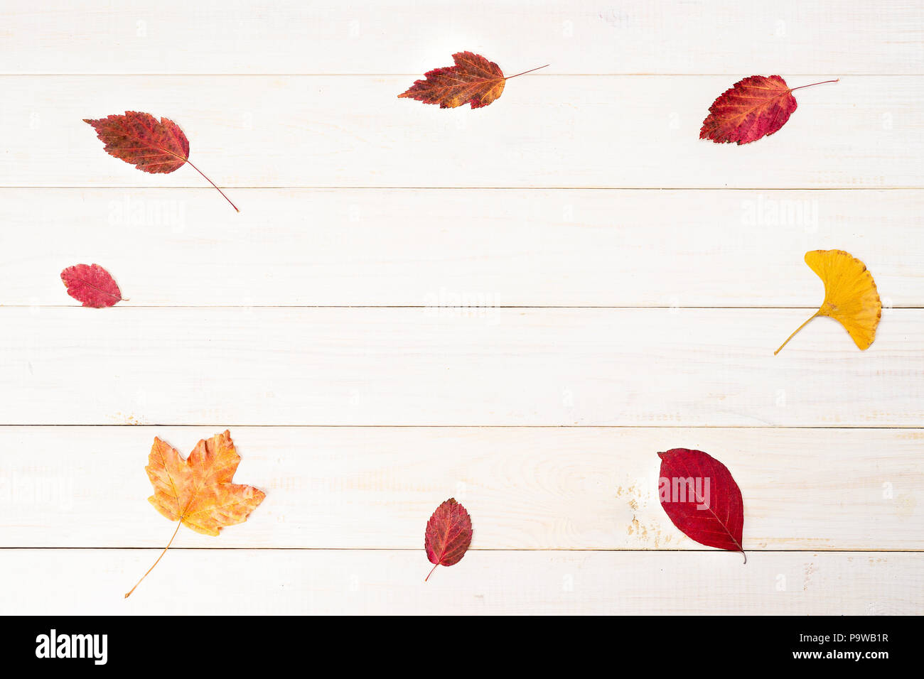 Top view of autumn leaves on white background Stock Photo - Alamy