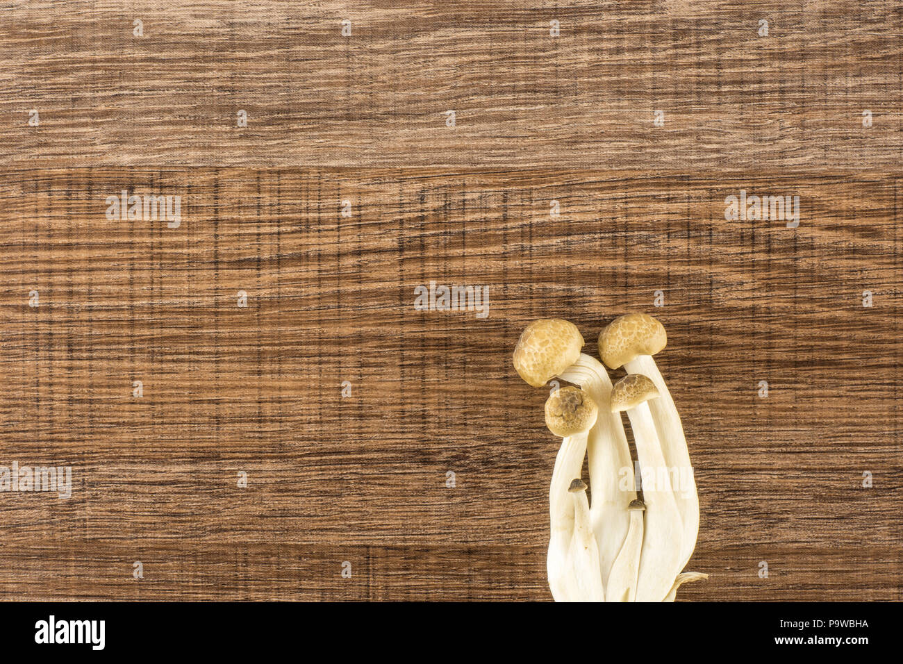 Brown beech mushrooms Shimeji top view isolated on wooden background