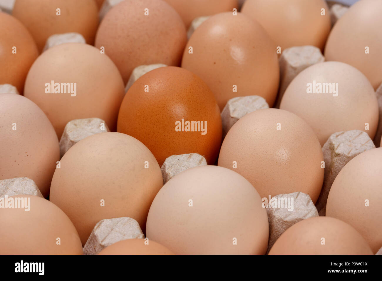 the eggs in the carton boxes laying, top view closeup Stock Photo