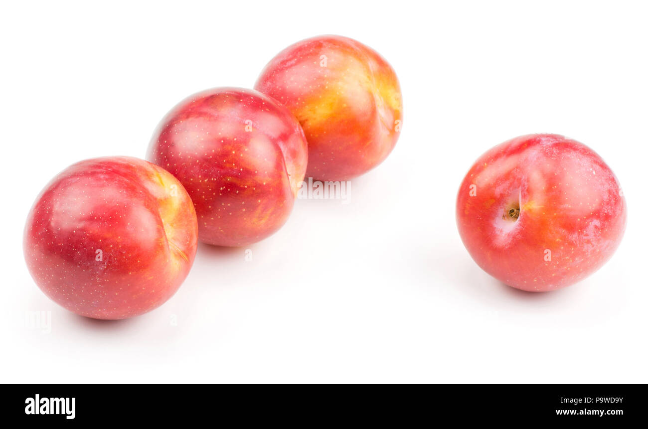 Four plums red orange isolated on white background fresh and glossy
