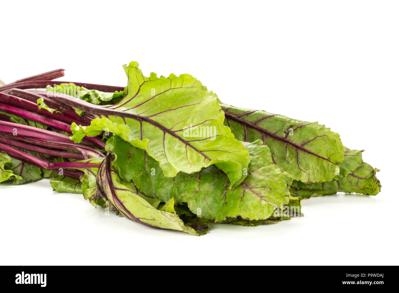 Beet greens bundle young fresh leaves isolated on white background Stock Photo