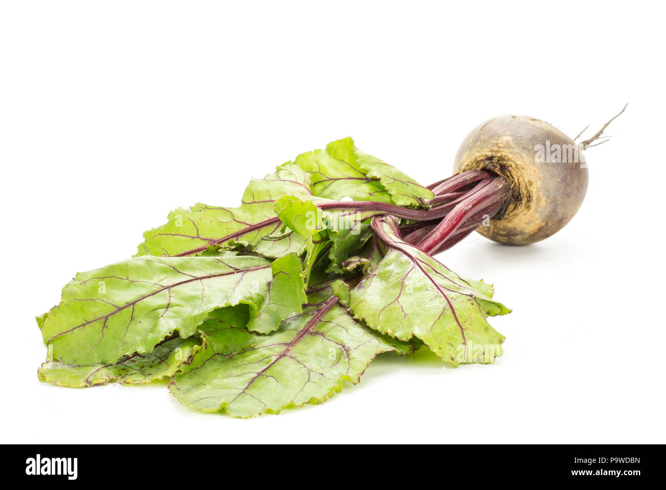 Red beet with greens isolated on white background one bulb root with ...