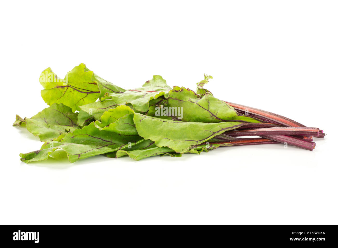 Beet greens bundle isolated on white background young fresh leaves Stock Photo