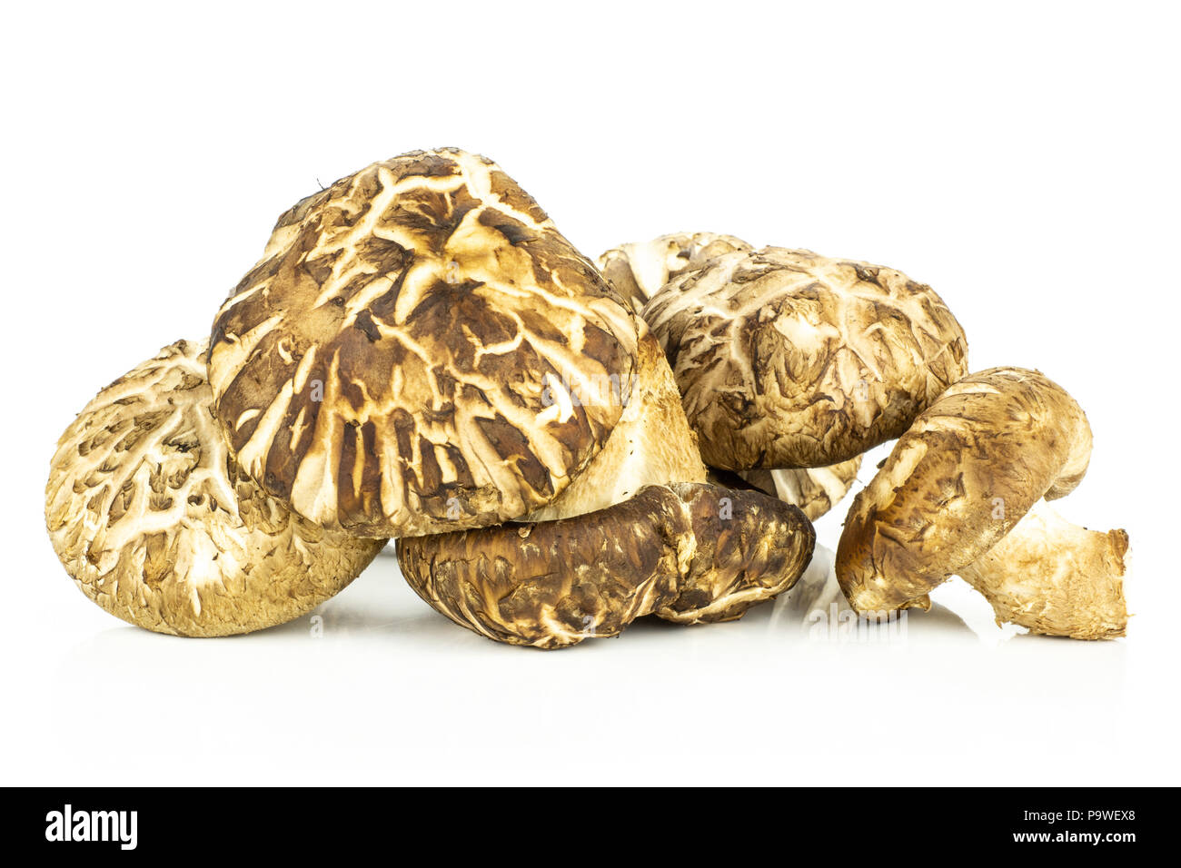 Fresh raw brown shiitake mushroom isolated on white Stock Photo Alamy