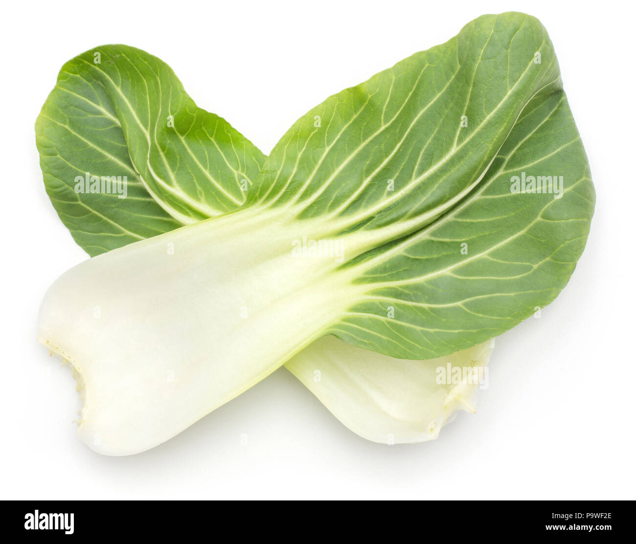 pak choi vs bok choy