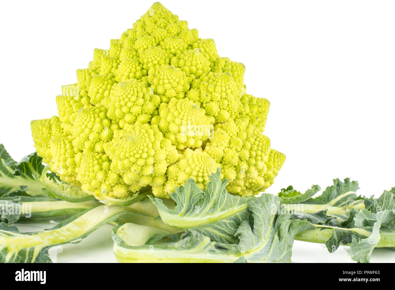 Romanesco cauliflower or broccoli isolated on white background one