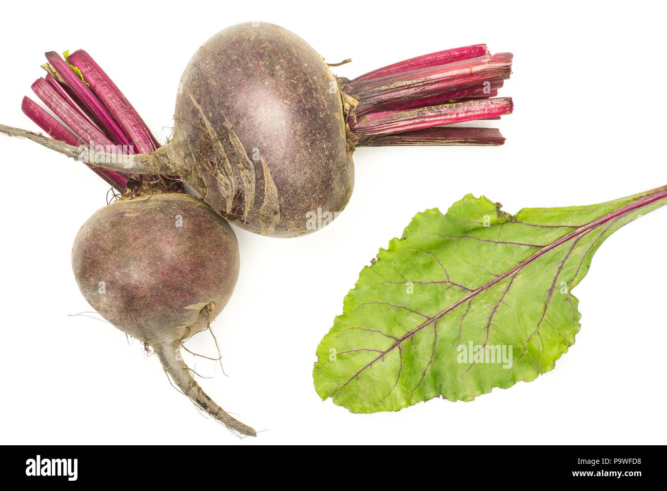 Two red beet young bulbs with one green leaf flatlay isolated on white ...