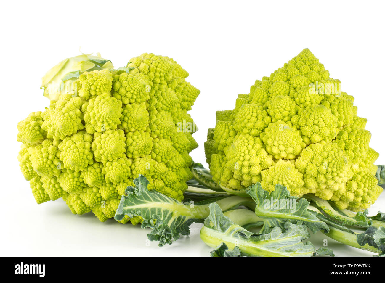 Romanesco cauliflower or broccoli two green heads with leaves isolated