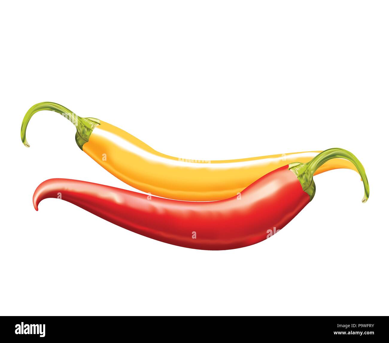 red and yellow hot tasty chilies on white background Stock Vector Image