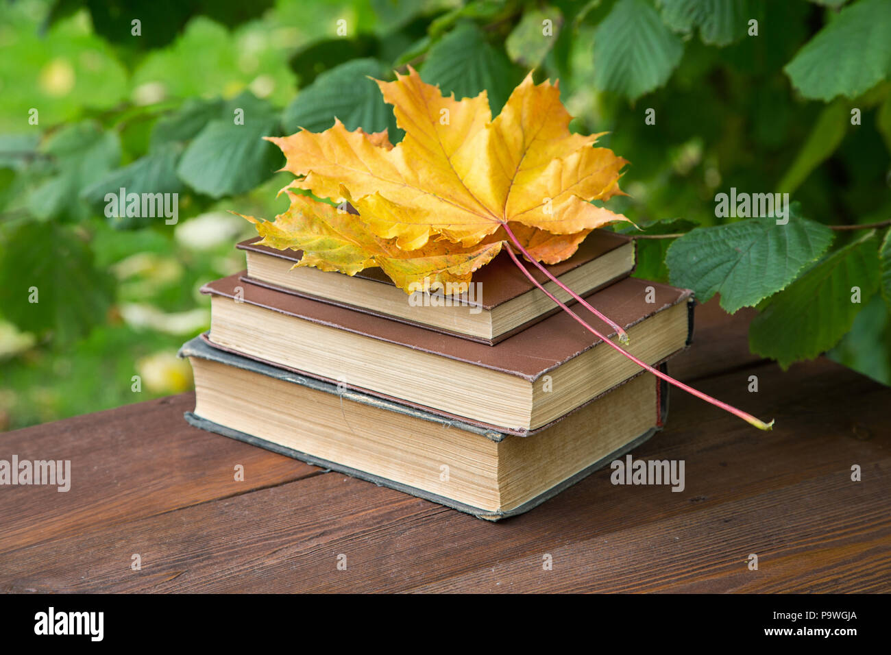 old books with yellow maple leaves on a rustic table Stock Photo