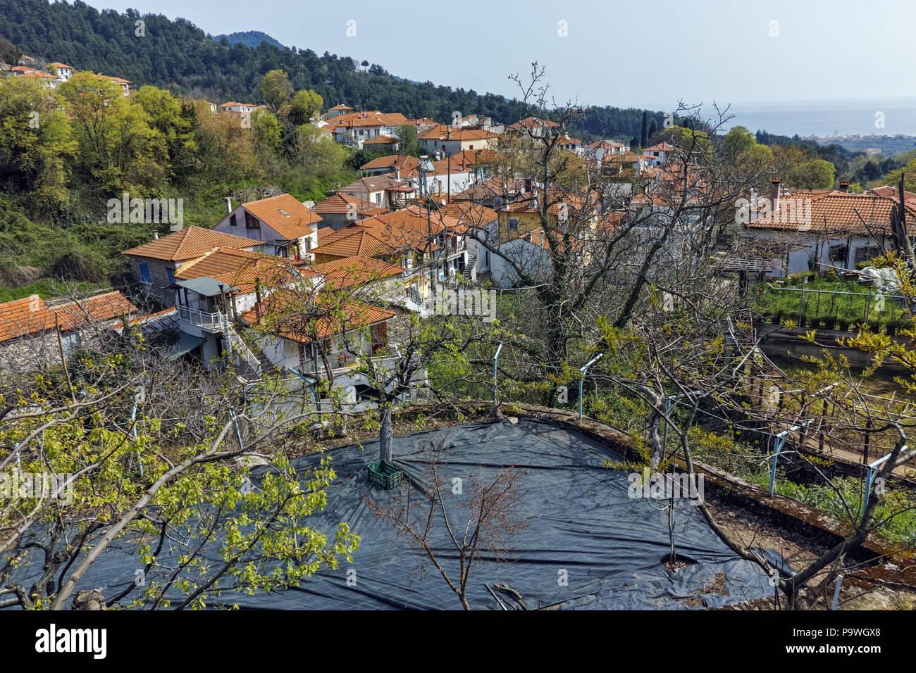Old houses in village of Panagia, Thassos island, East Macedonia and