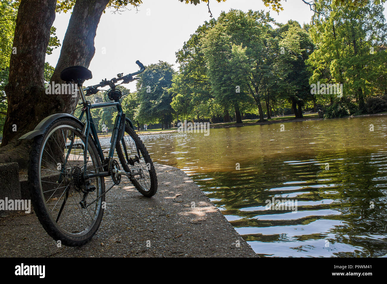 Beautiful park scene in public park with green grass field, green tree ...