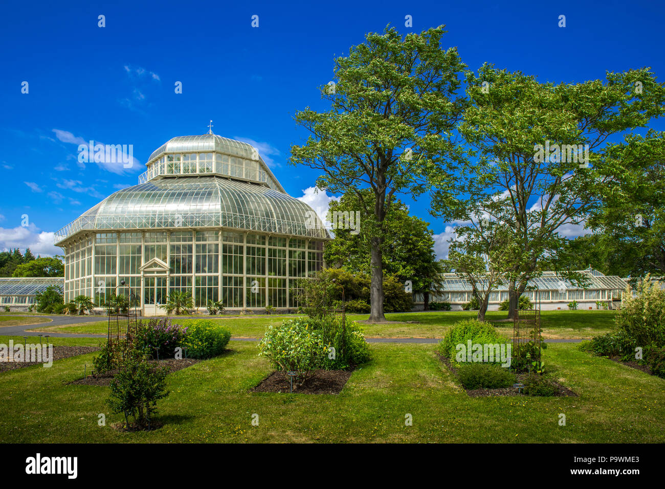 Greenhouse from 1884 in the botanical garden, Dublin, Ireland Stock Photo