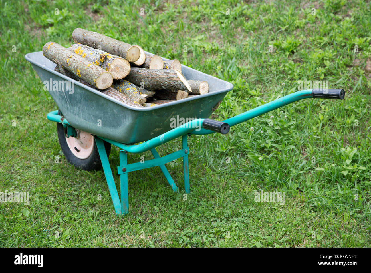 hand truck with firewood on the green grass Stock Photo Alamy