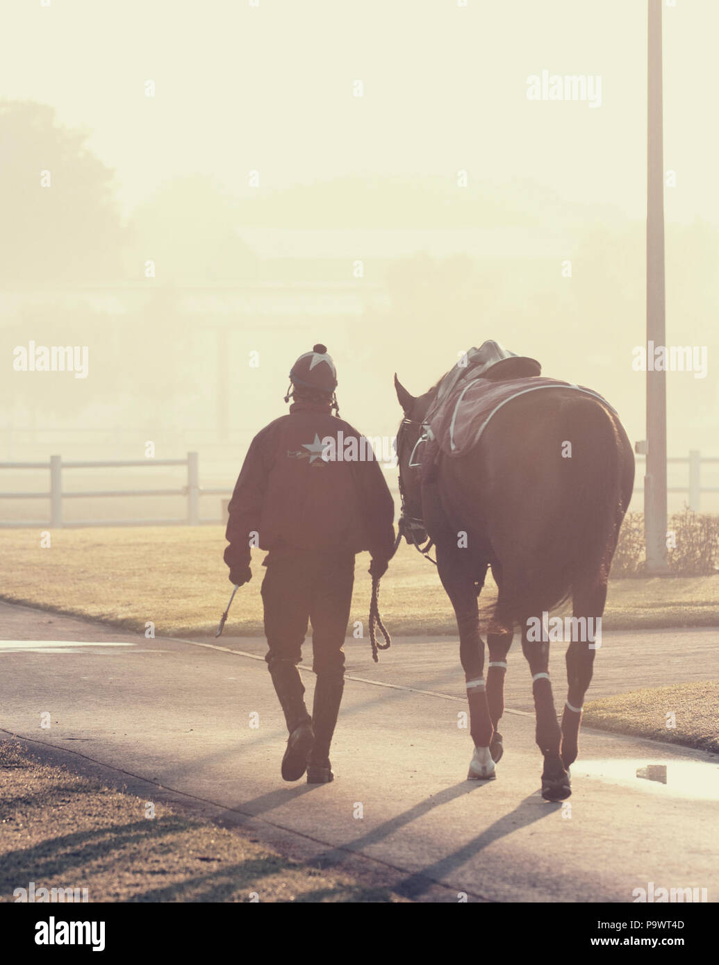 Rider leading his racehorse to be exercised at dawn at a Dubai racing stables. Stock Photo