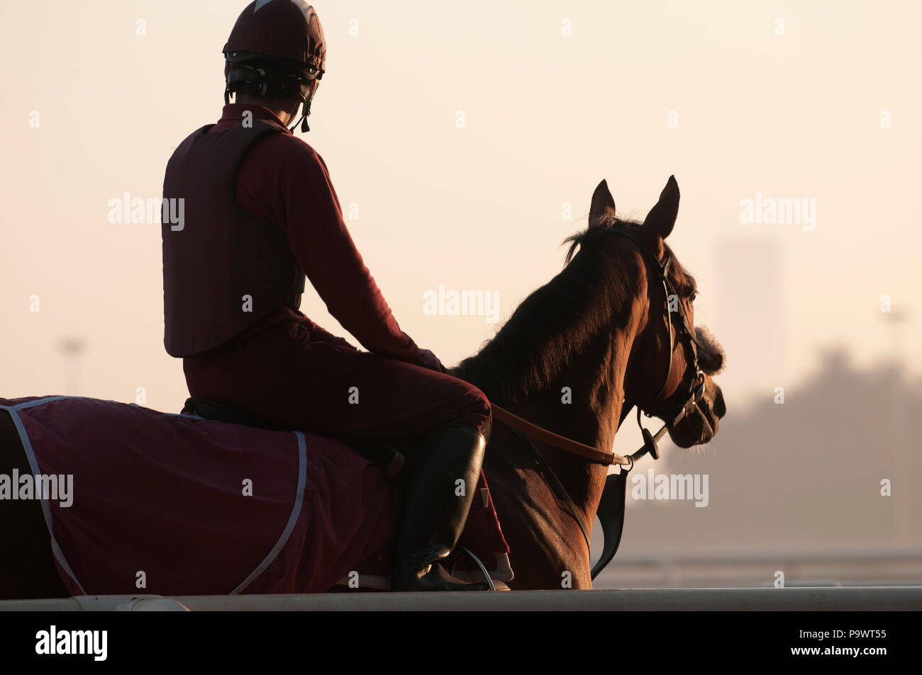 Profile of a jockey on a racehorse at dawn training in Dubai. Stock Photo