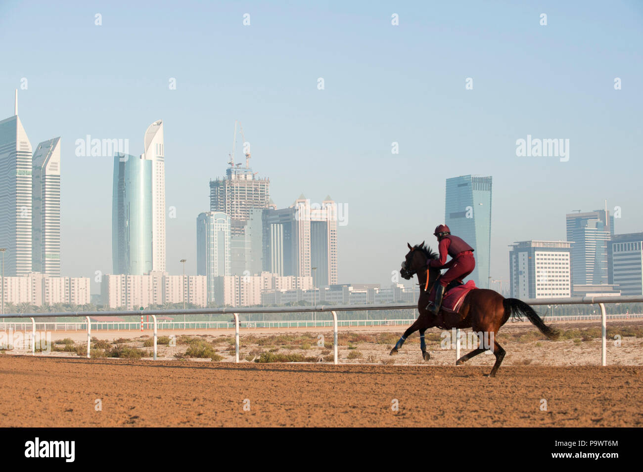 Lone rider and racehorse training at dawn in a Dubai private racetrack. Stock Photo