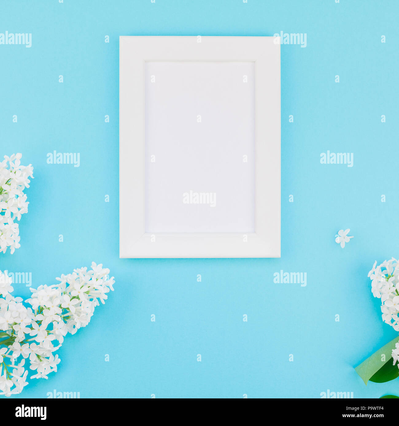 Square flat lay concept top view of blank postcard frame mock up and ...
