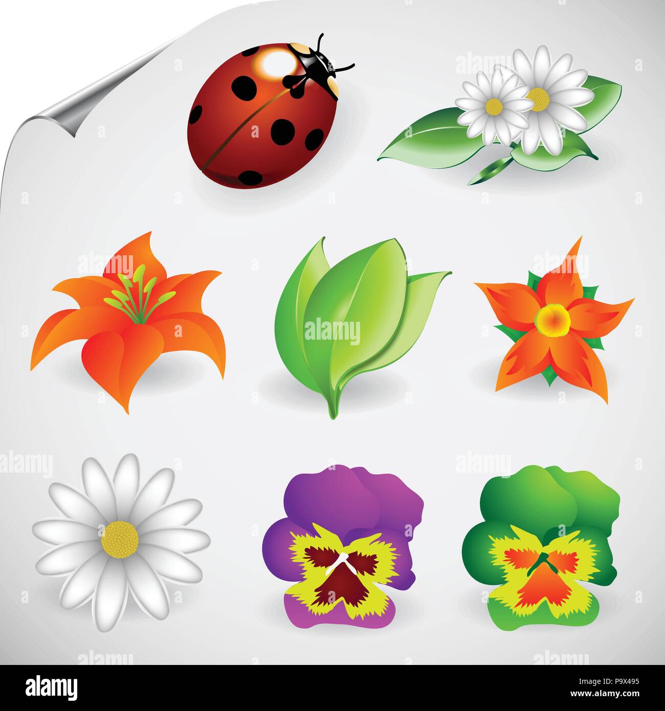Vector Illustrations of Natural and Floral Icons Stock Vector Image ...