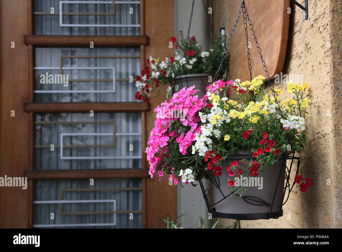 Hanging basket flowers hi-res stock photography and images - Alamy