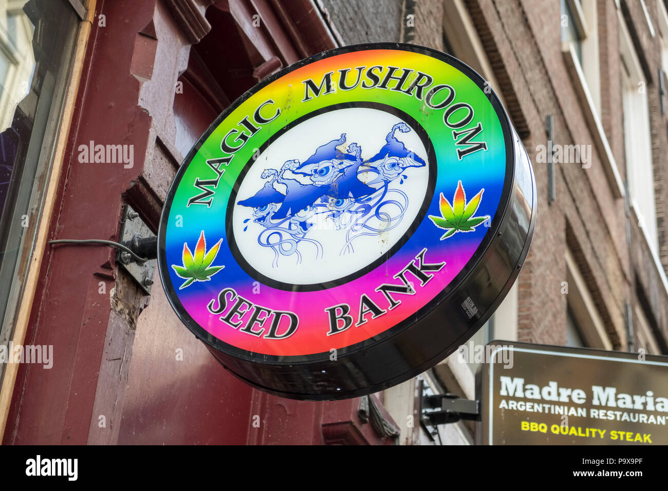 Recreational drugs store sign, Magic Mushroom Seed Bank, Amsterdam, Netherlands, Holland, Europe Stock Photo