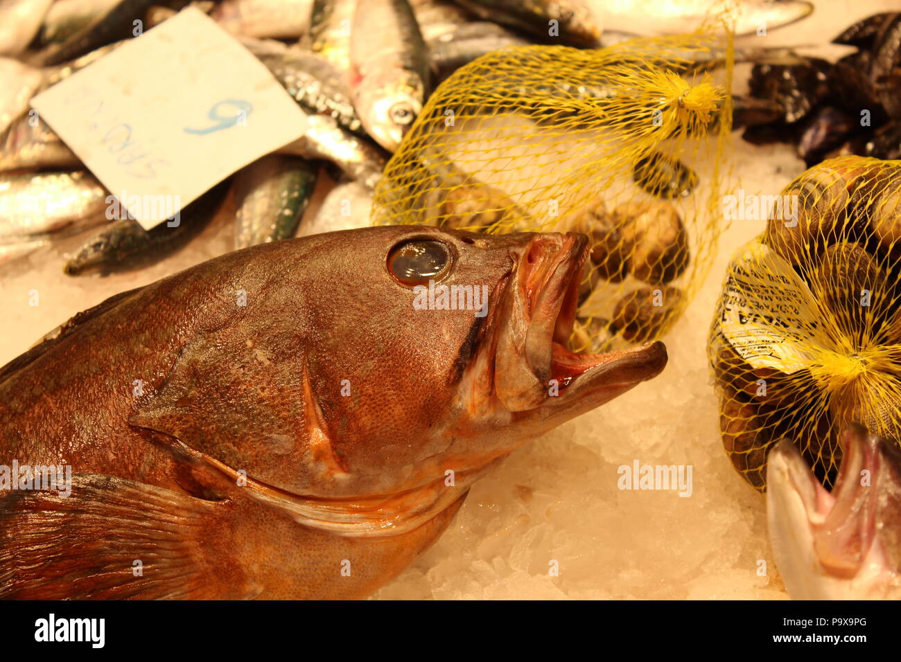 A fresh fish on sale at food bazaar. Stock Photo