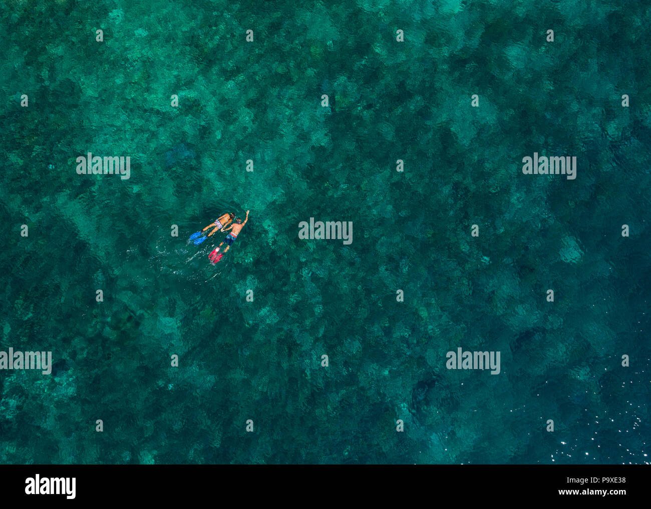 A drone photo of a tourist couple snorkelling over a tropical coral reef in stunning azure blue water, at Komodo National Park, Indonesia. Stock Photo