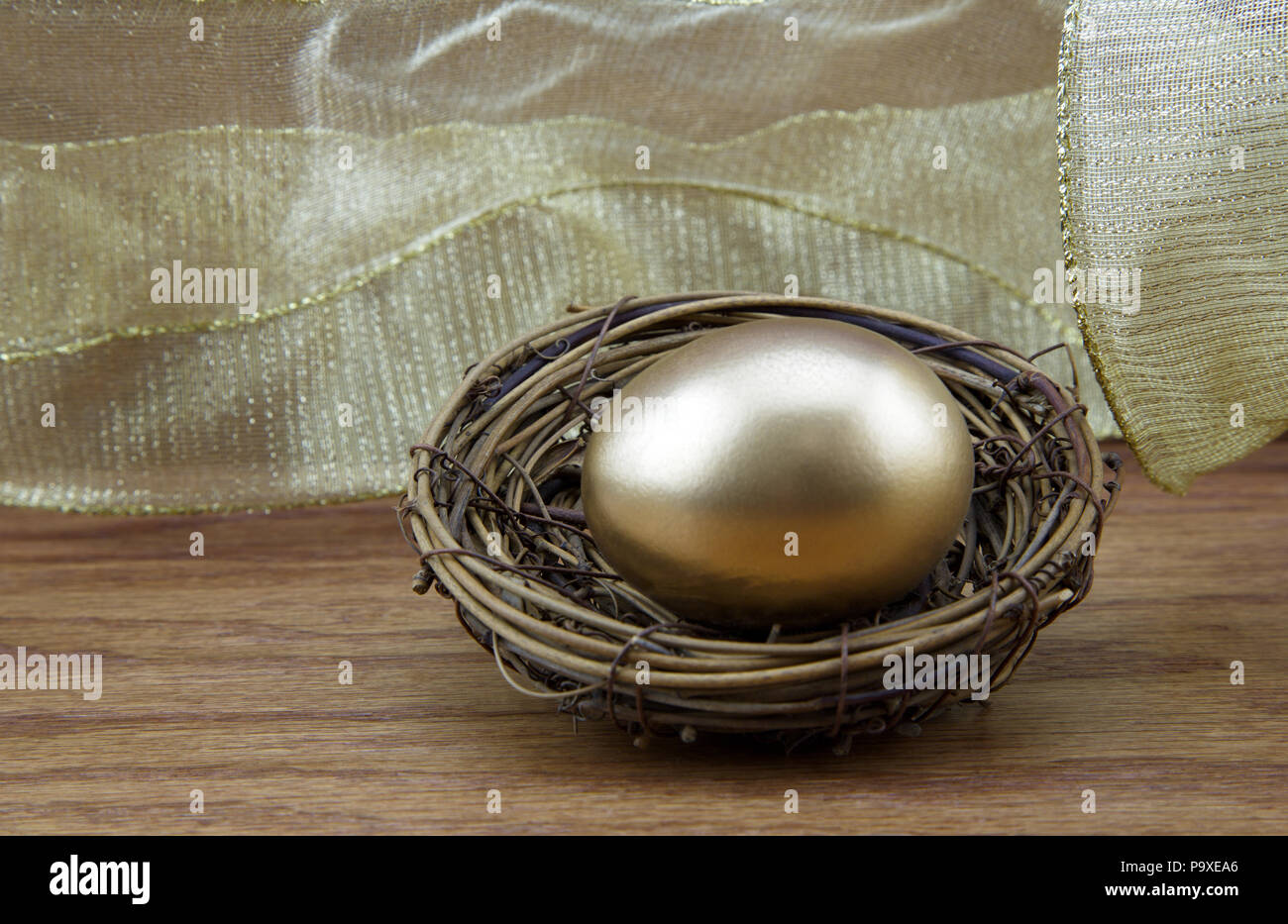 Secure nest egg concept reflected in gold tones and wood grain background Stock Photo