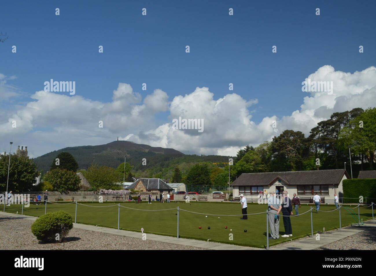 Pensioners playing bowls on the lawn at a bowling club in Scotland, UK Stock Photo