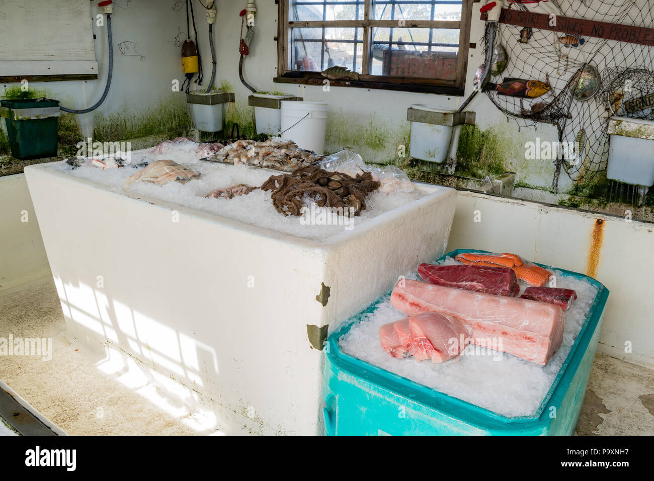 Fresh seafood in Pearson's Port at Newport Beach, California Stock