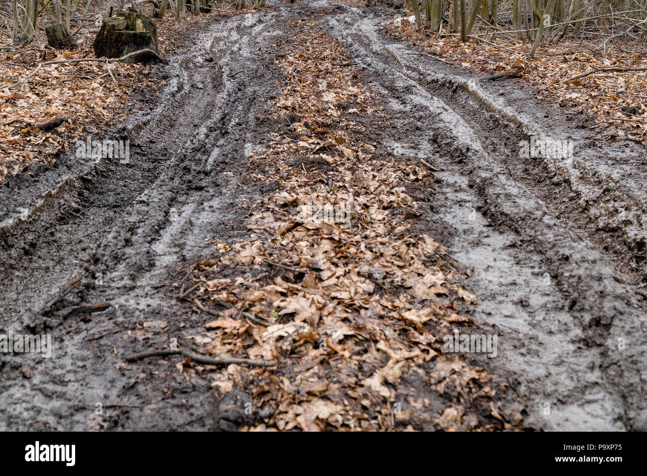 Muddy wet countryside road in hi-res stock photography and images - Page 11  - Alamy, image size:1300x956