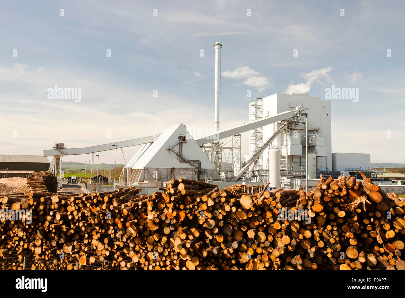 Stack of logs in front of Stevens Croft biofuel power station in Lockerbie, Scotland, UK Stock Photo