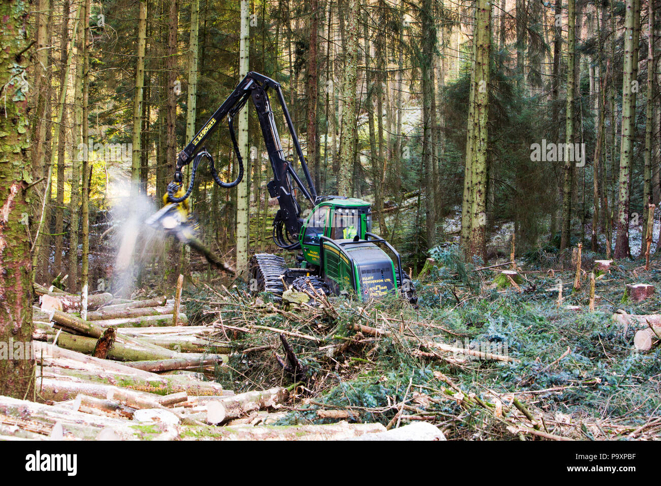 Tree harvester working in Grizedale Forest, Lake District, UK Stock Photo