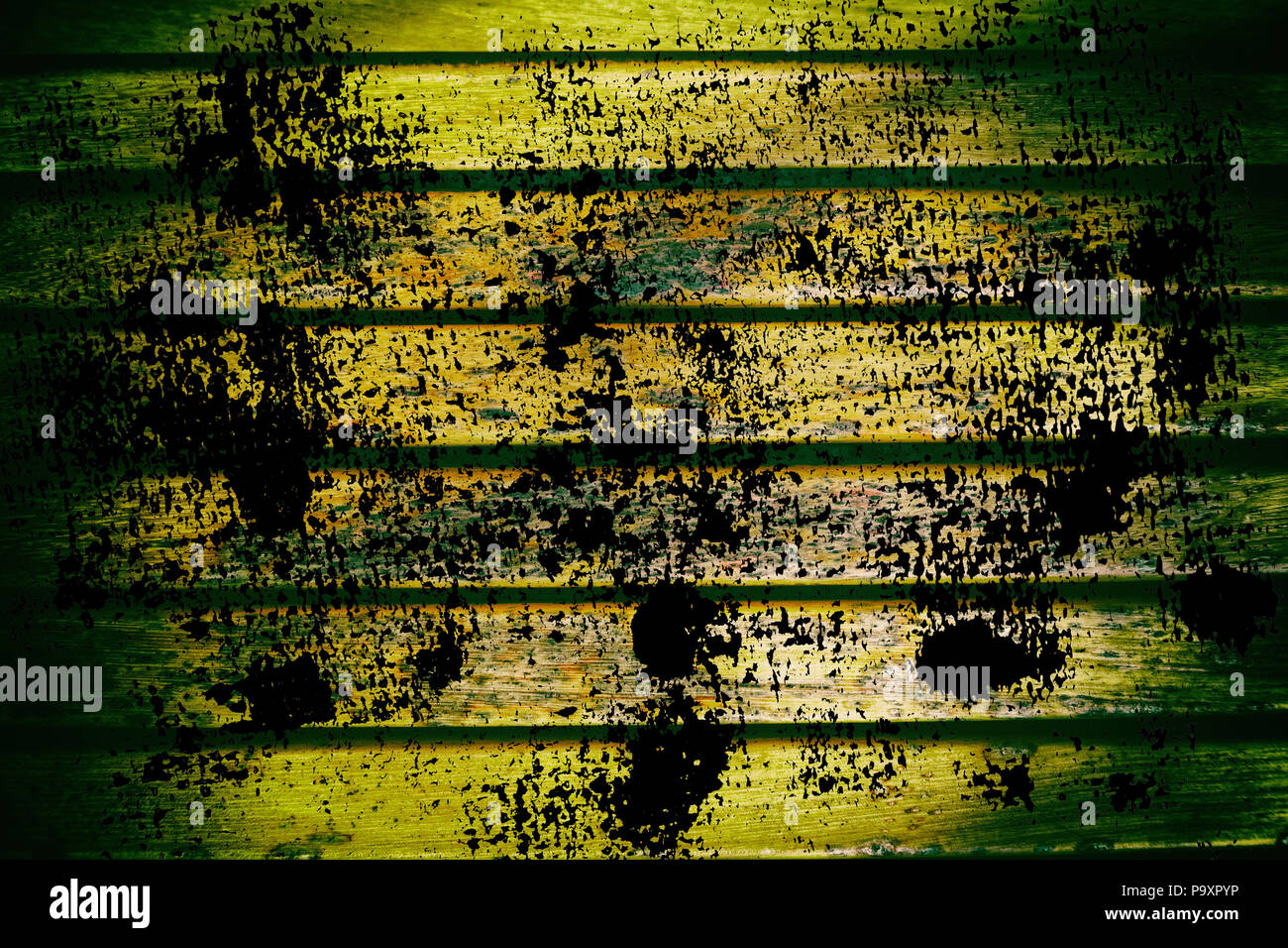Grunge Wooden bench plank texture for web site or mobile devices ...