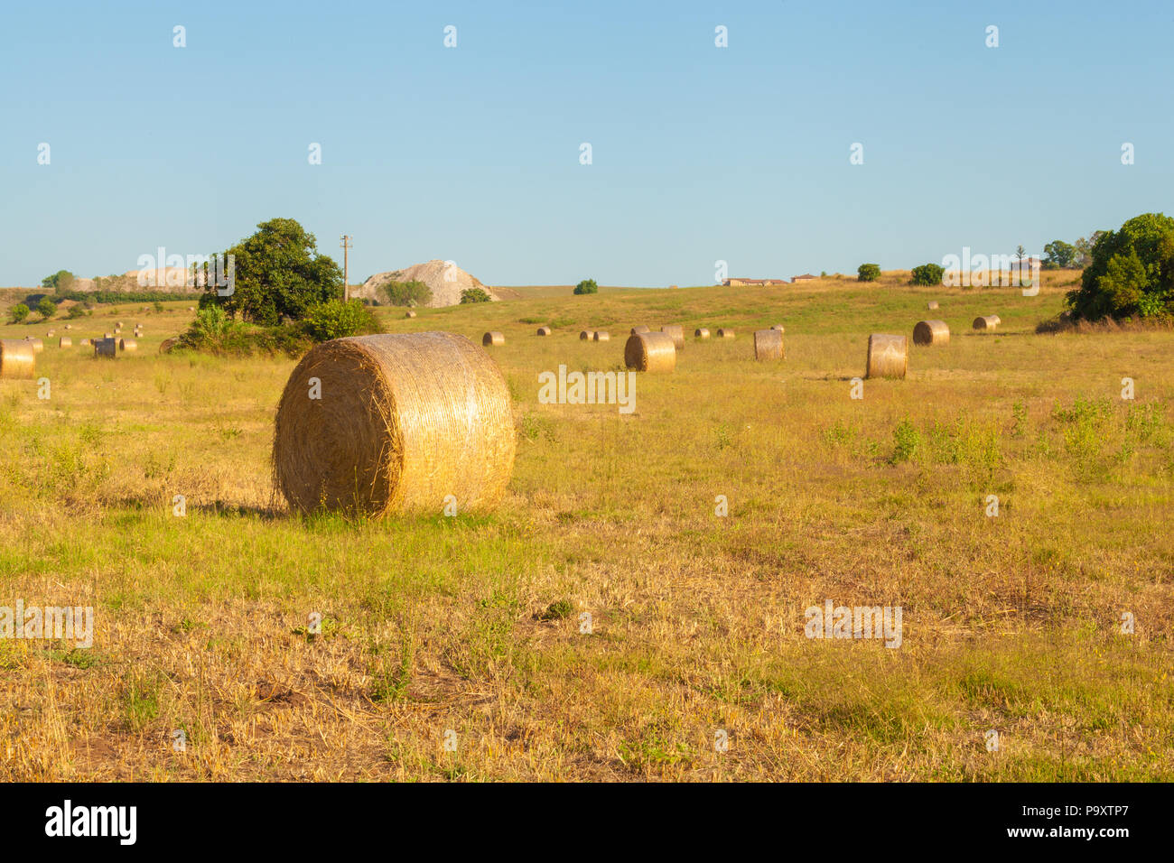 Hay bales rural landscape scene in summer - agriculture, open air Stock ...
