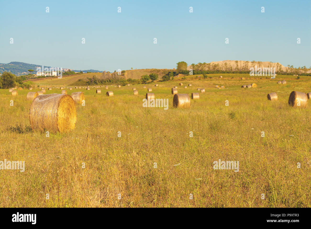 Hay bales rural landscape scene in summer - agriculture, open air Stock ...