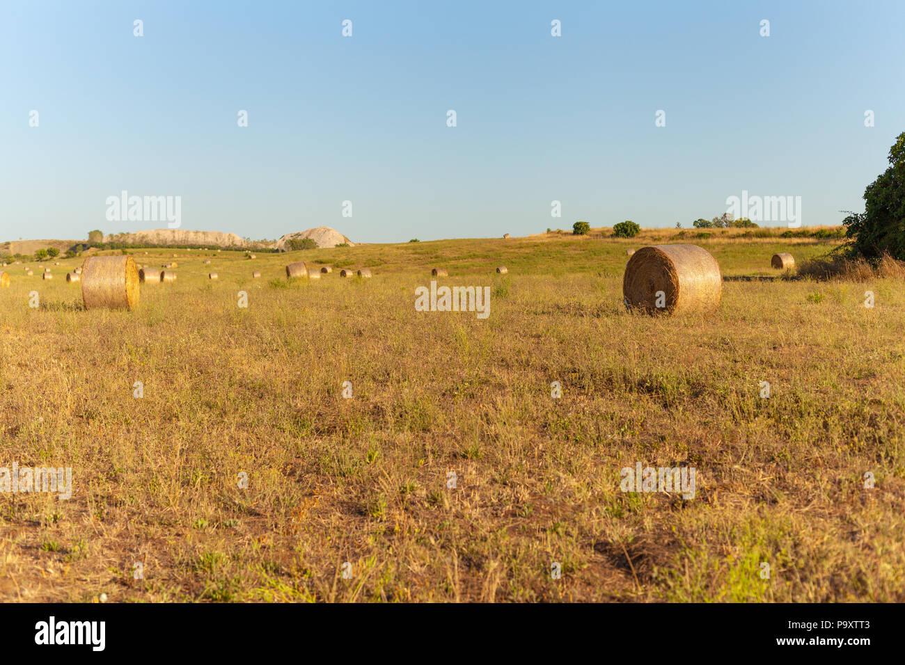 Hay bales rural landscape scene in summer - agriculture, open air Stock ...