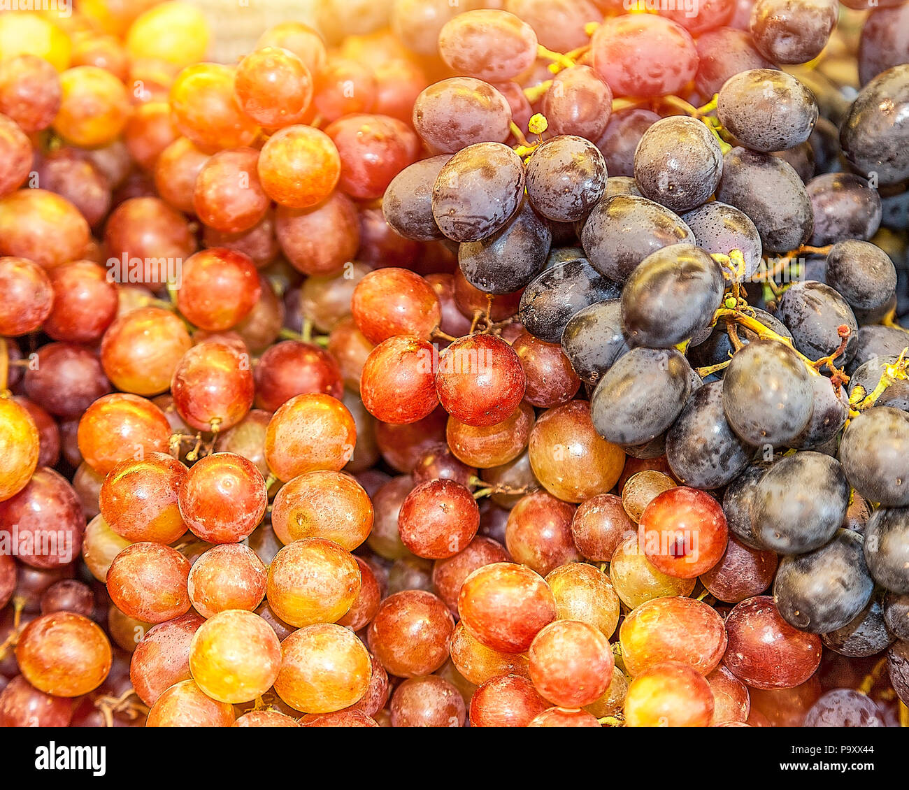 Black muscat grape hires stock photography and images Alamy